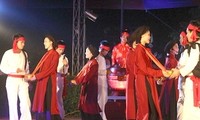 Vietnam strengthens cultural diplomacy in 2012